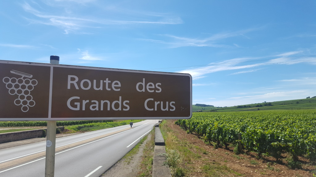 Route des Grands Crus Schild
