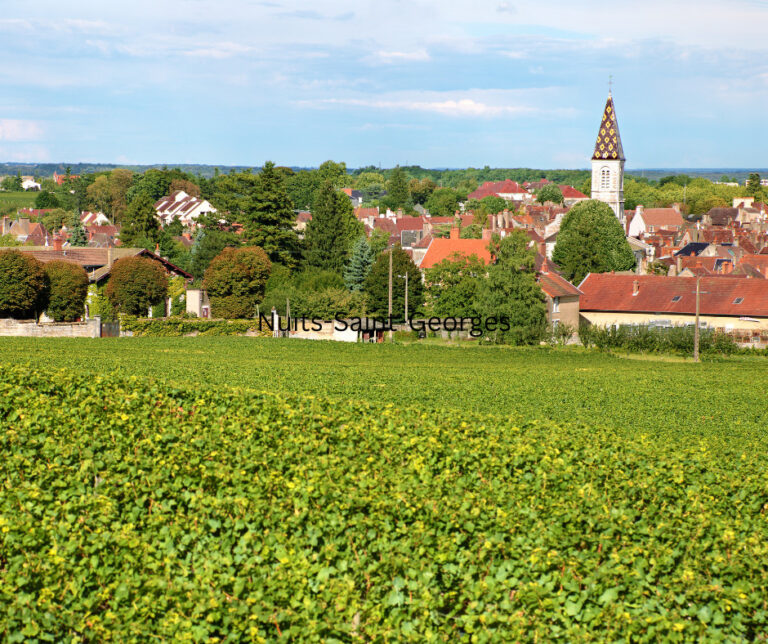 3 Tage Tour nach Beaune BurgundUrlaub